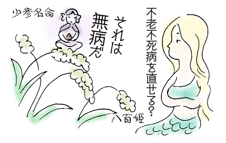 少彦名命と八百姫